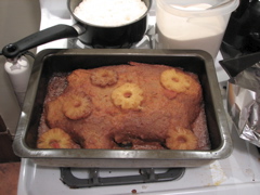 vegan_pig.JPG