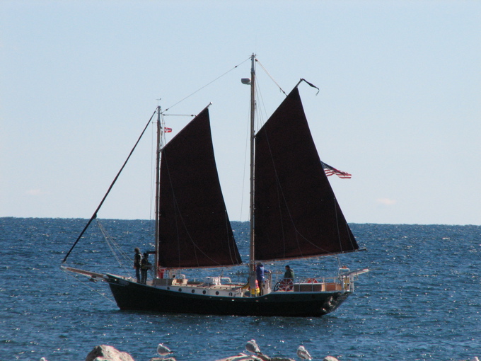 leann_olsen_hj&oslash;rdis_1