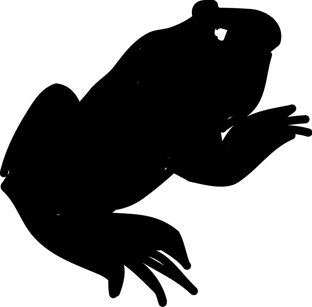 frog