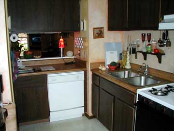 Kitchen1.jpg (98136 bytes)